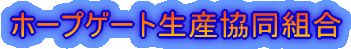 �z�[�v�Q�[�g���Y�����g��